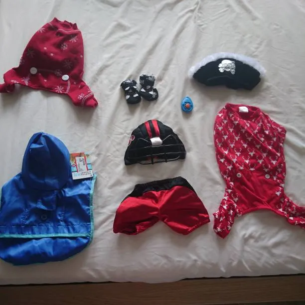 Cat/small Dog Clothes photo 1