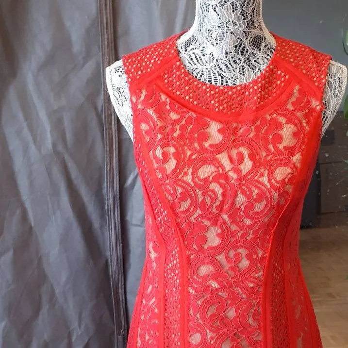 BCBG Dress Red Lace size 6 photo 1