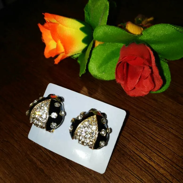 Free Black Ladybug Earrings photo 1