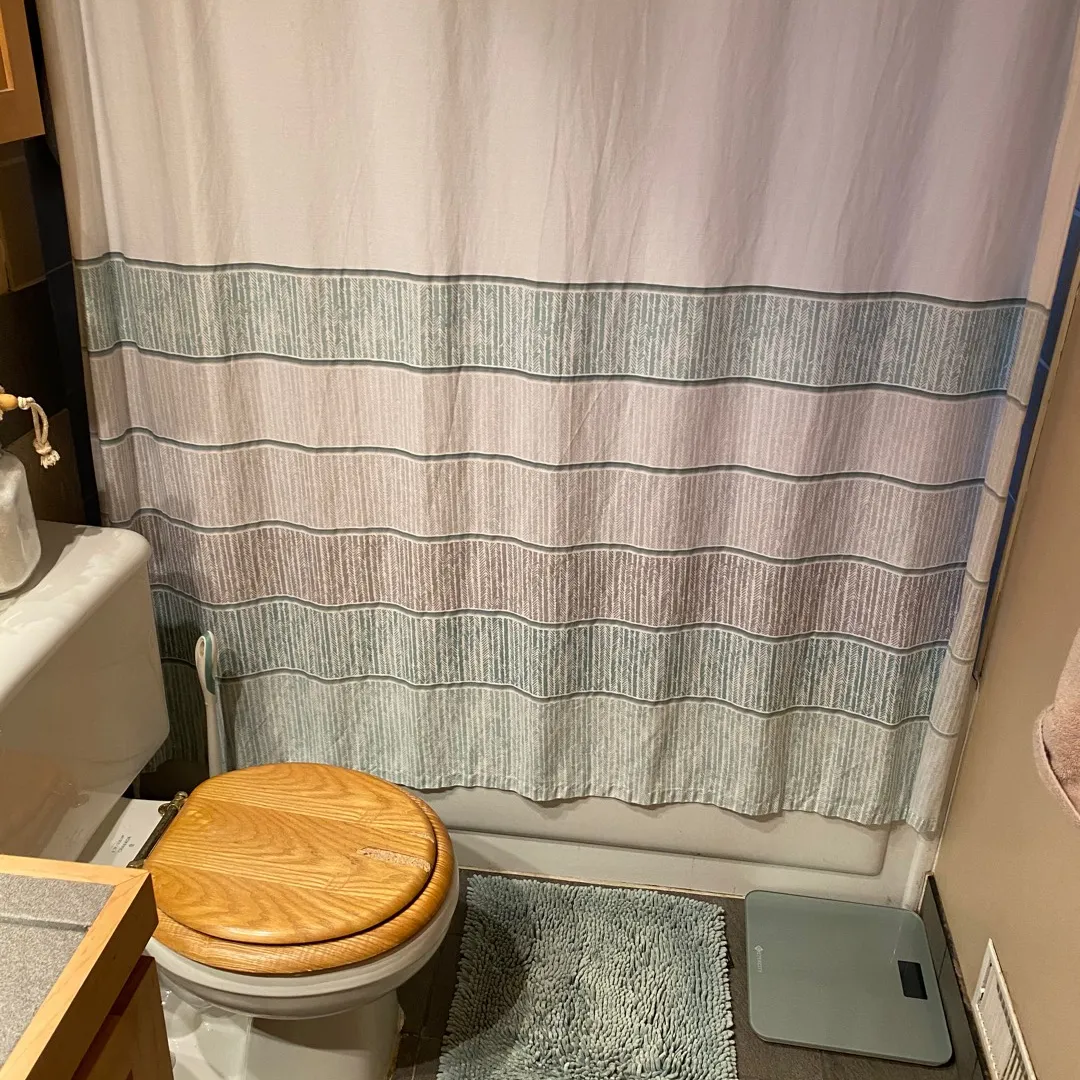 Fabric Shower Curtain and Bath Mat Set photo 1