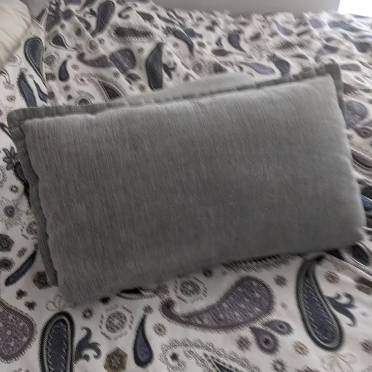 2 Gray Pillows photo 1