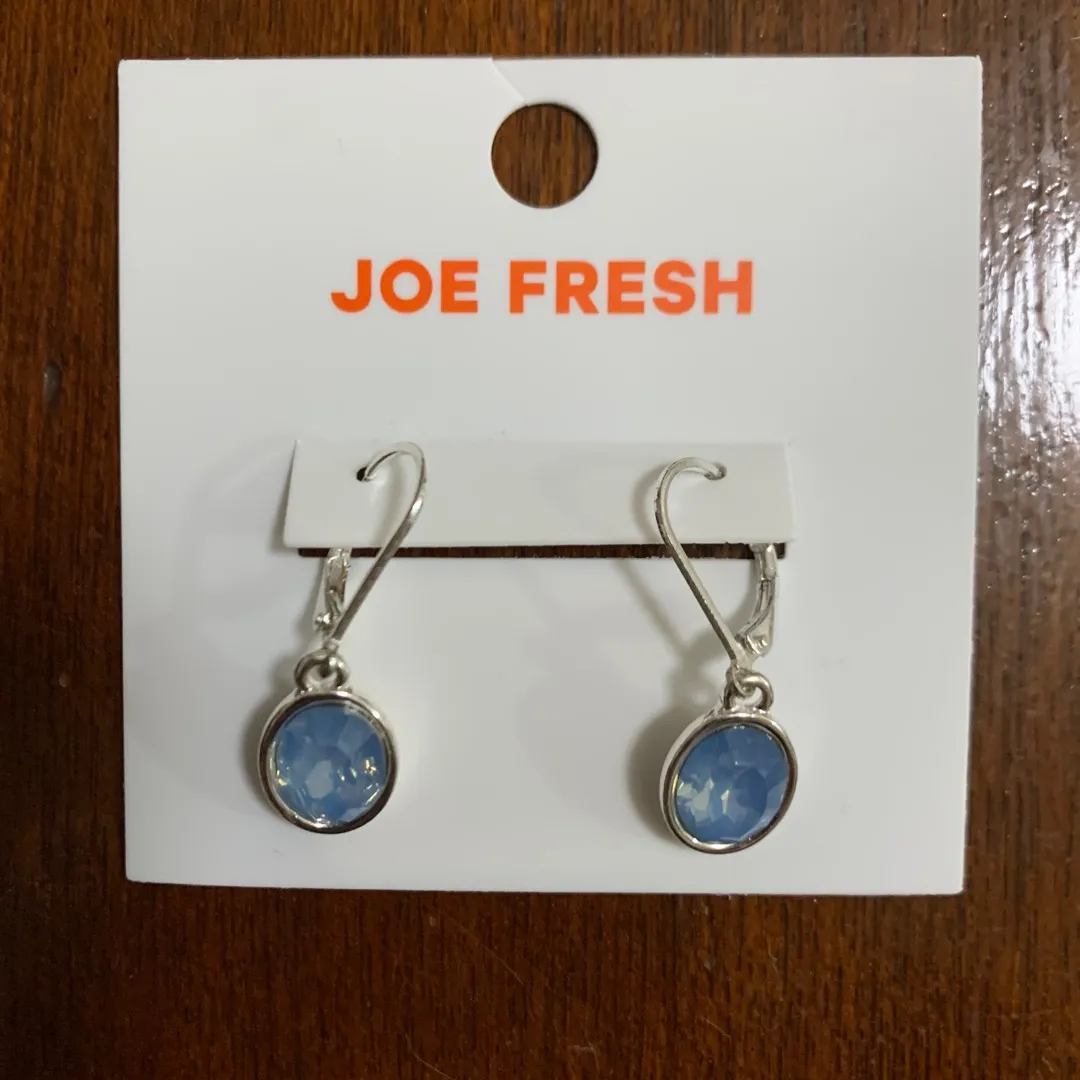 Joe Fresh Earrings photo 1