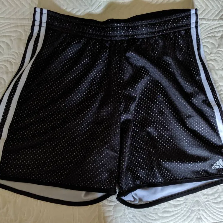 NEW Adidas Shorts (M) photo 1
