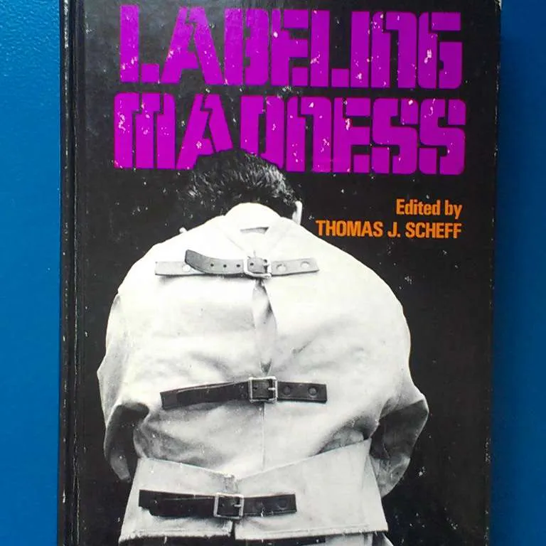 book: Labelling Madness photo 1