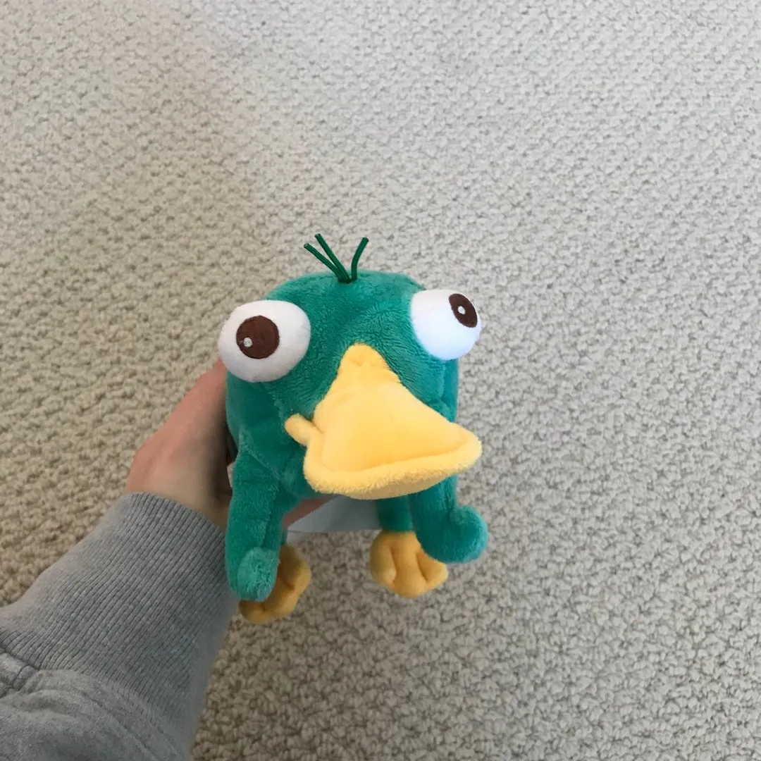Adorable Little Perry The Platypus photo 1
