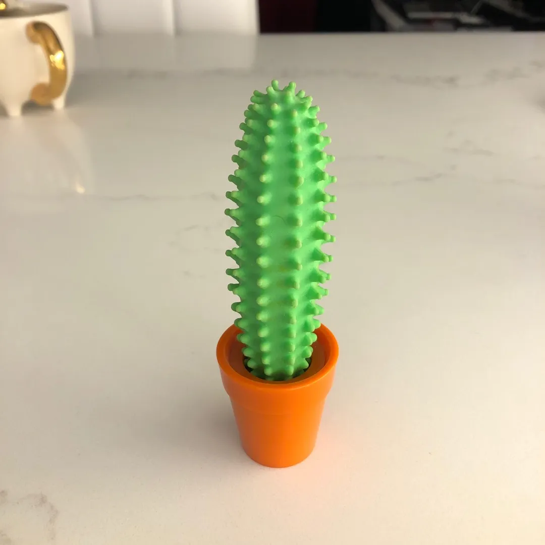 Cactus pen 🌵 photo 1