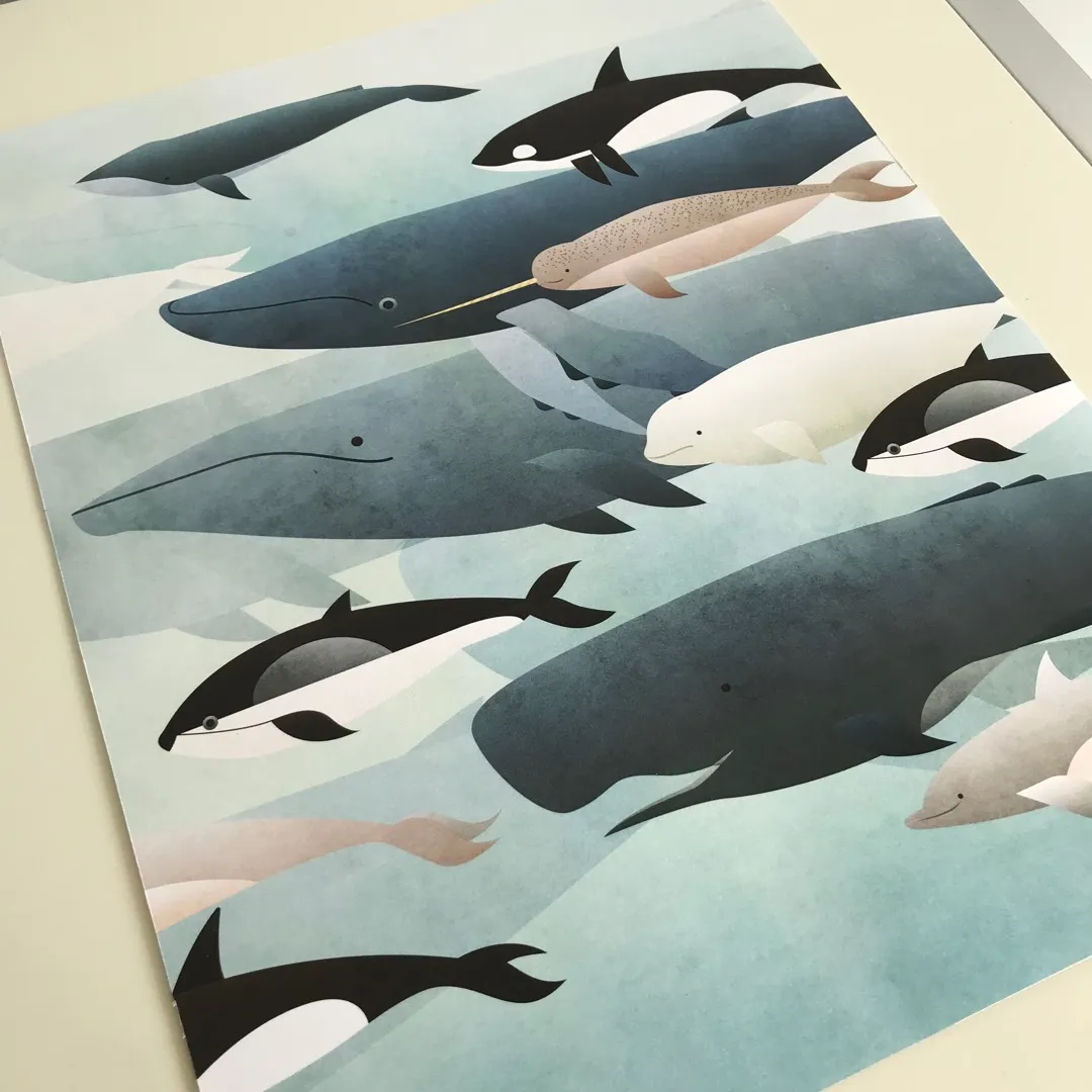 Whale Print photo 1