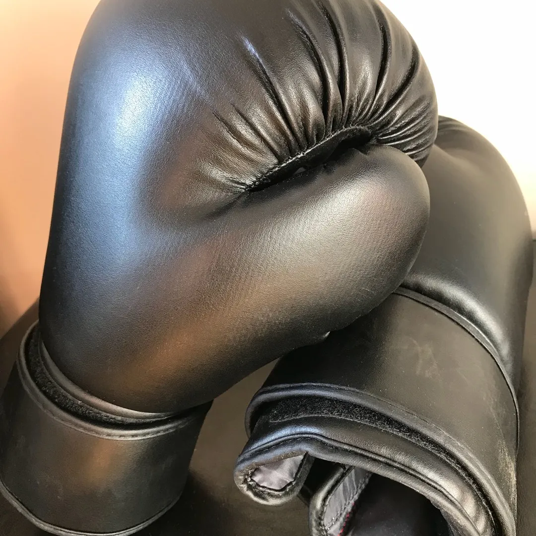 10oz Boxing Gloves photo 1