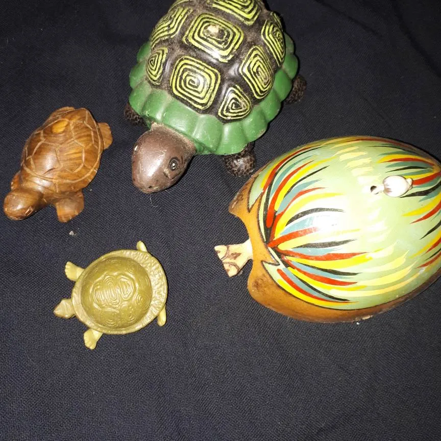 Turtle Collection photo 4