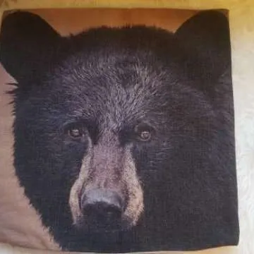 Bear Pillowcase!! photo 1
