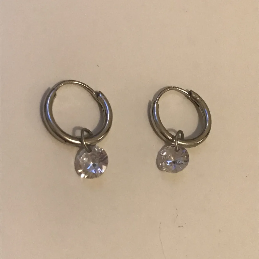 Sterling Silver Earrings photo 1