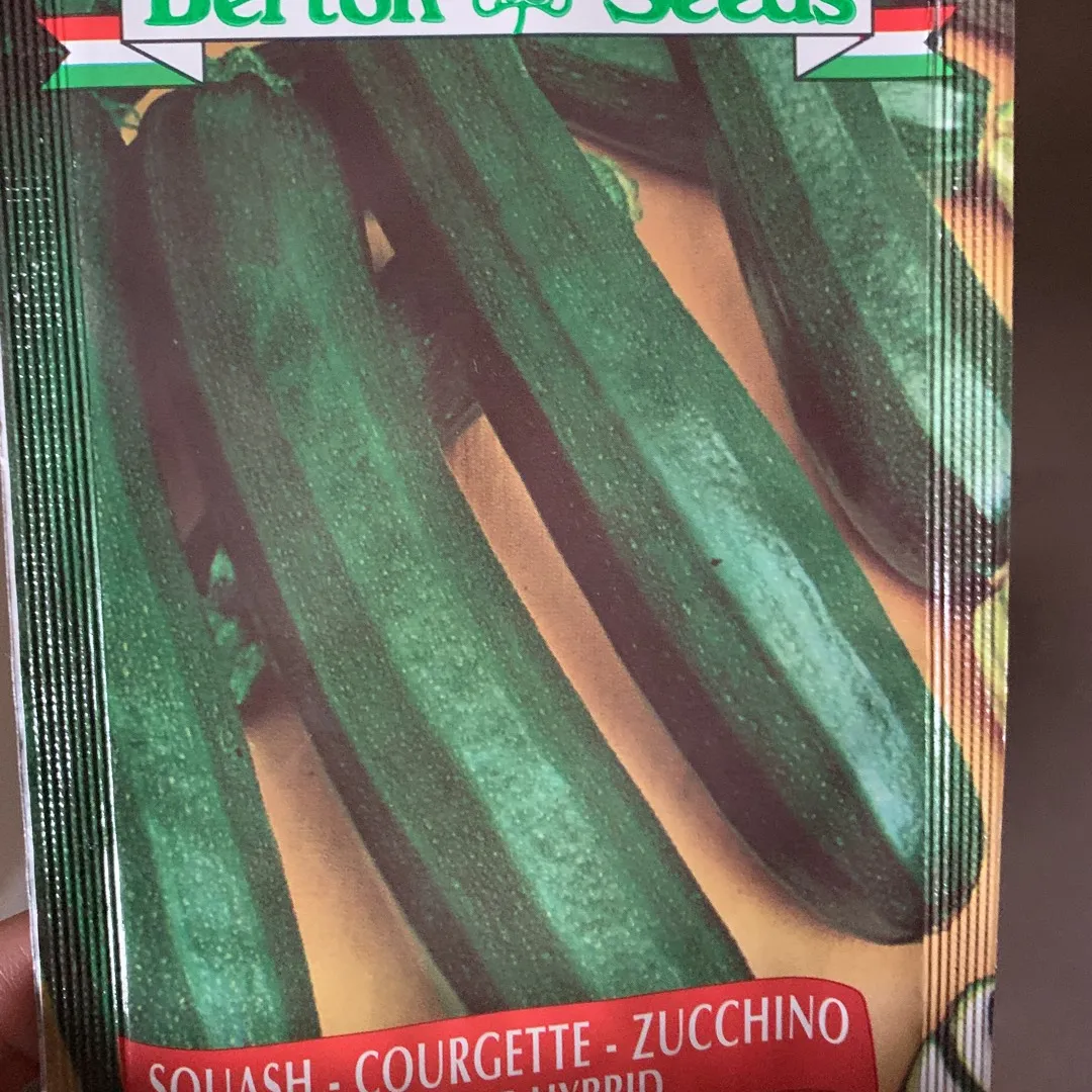 Zucchini Seeds photo 1