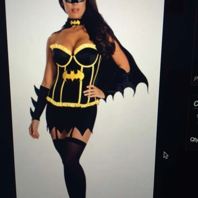 Batgirl Costume photo 1
