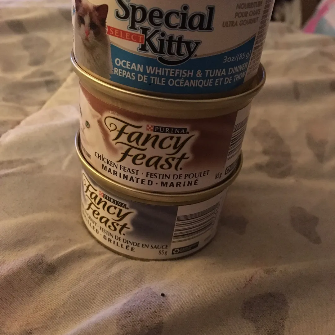 Fancy Feast & Special Kitty Cat Food photo 1