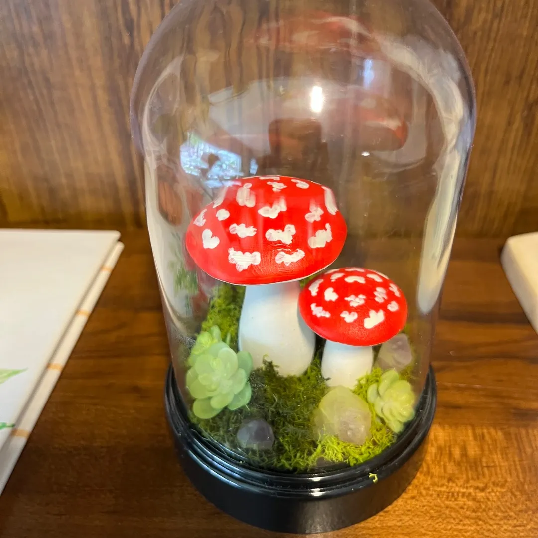 Mushroom Terrarium photo 1