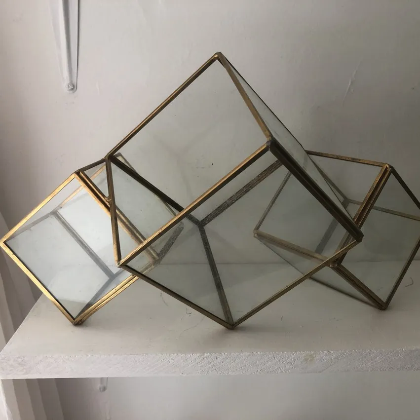 Terrarium- Glass Cubes photo 1