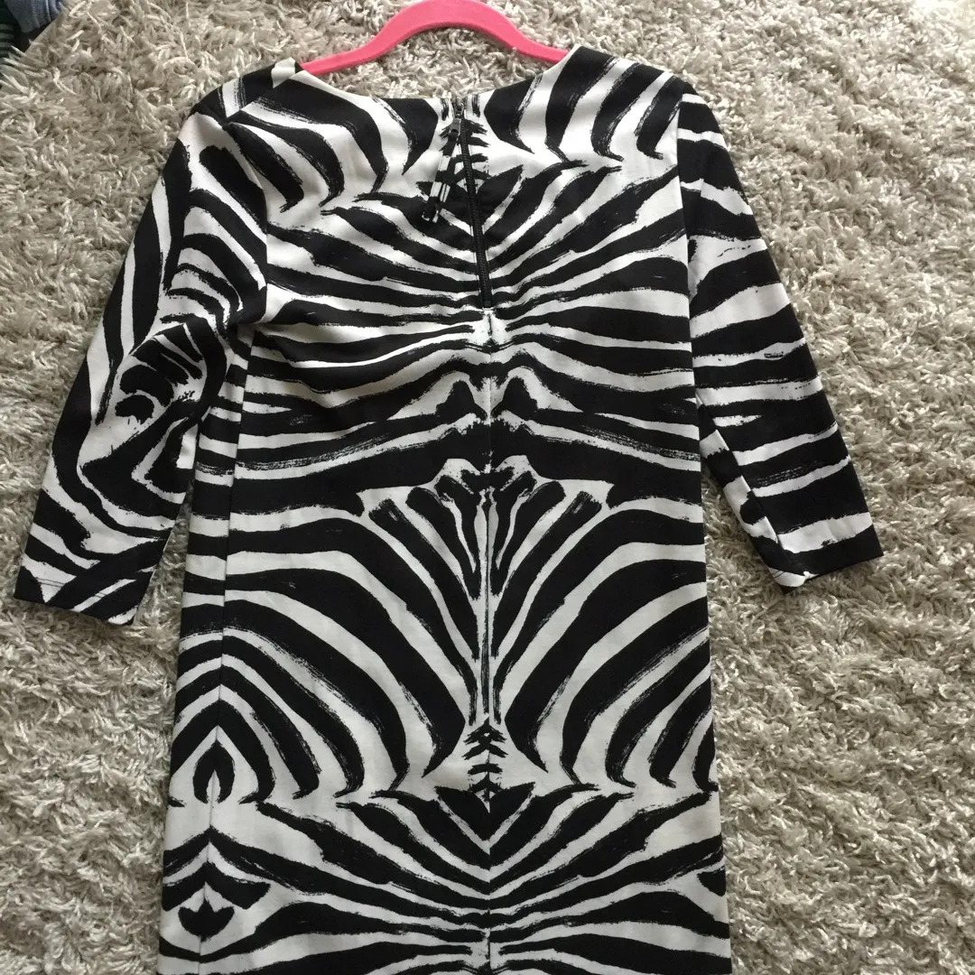 H & M Zebra Print Dress photo 3
