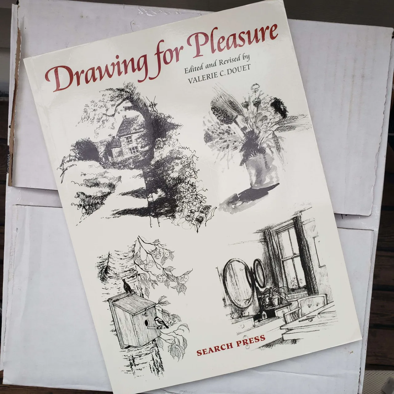 Drawing for Pleasure photo 1
