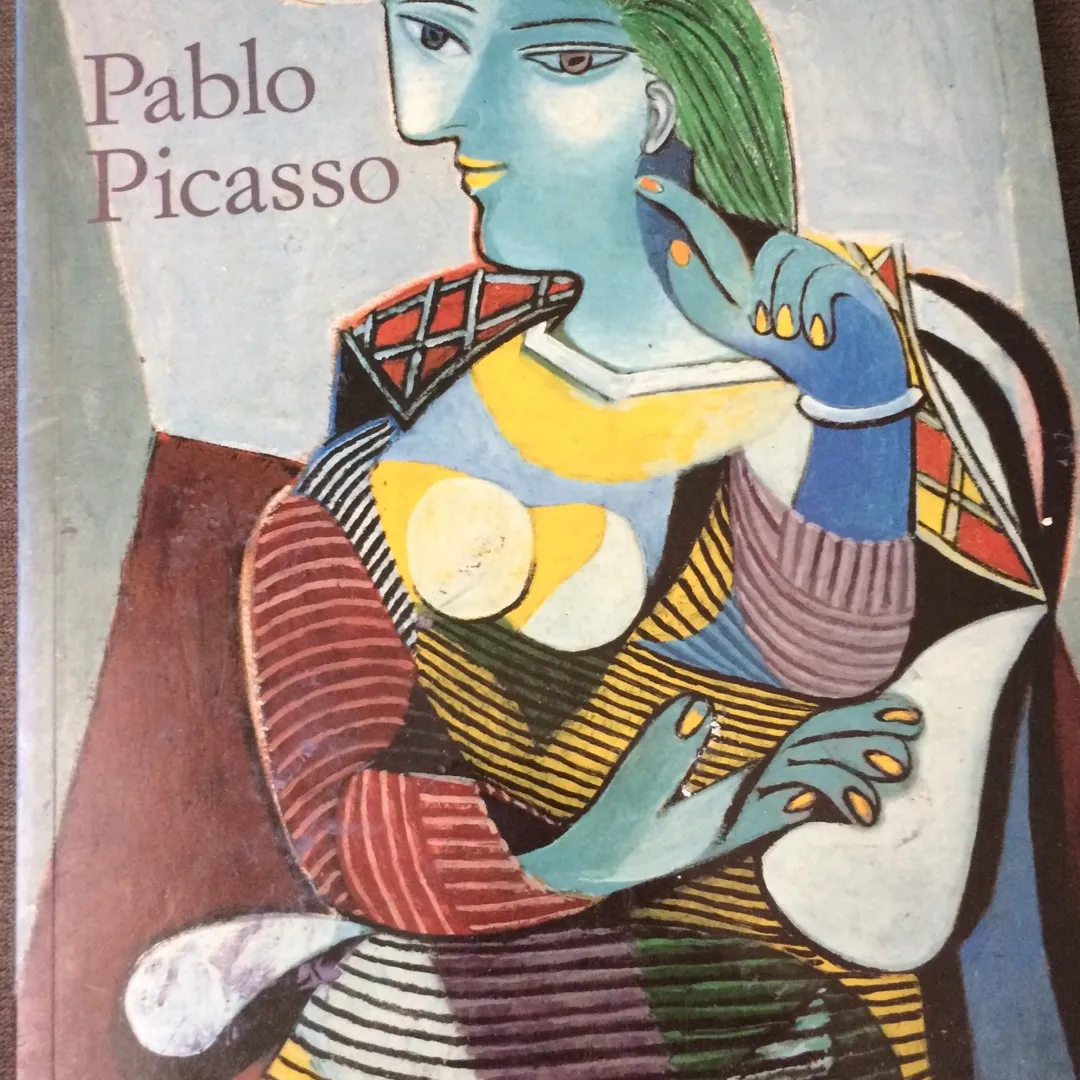 Picasso Book photo 1