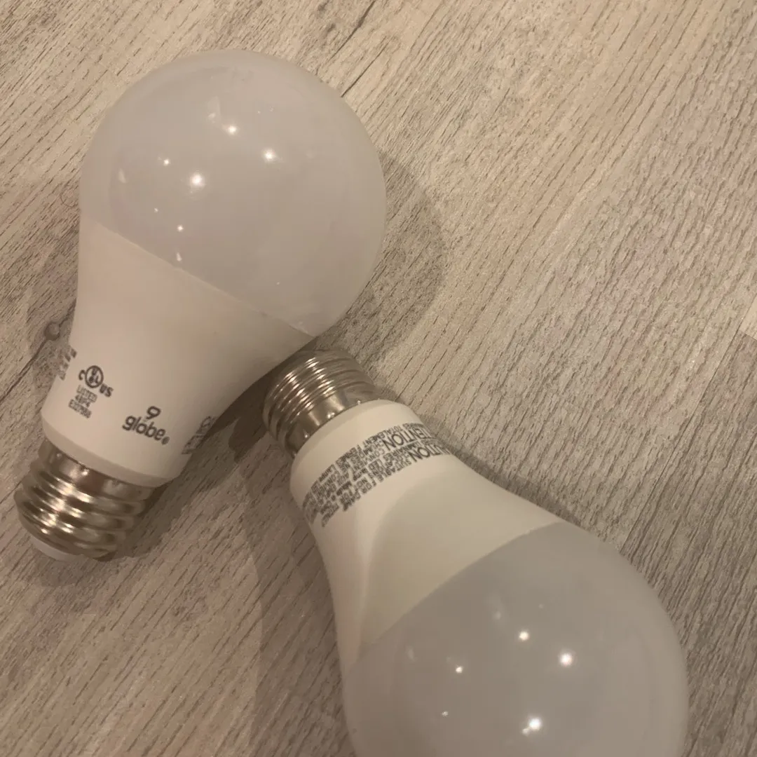 Two LED Light bulbs photo 1