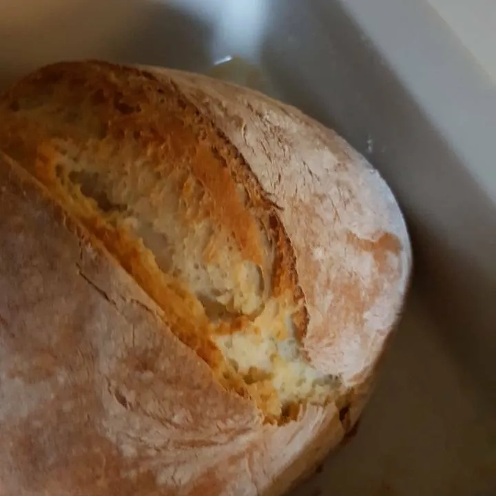Crunchy Crust Homemade Bread! photo 1