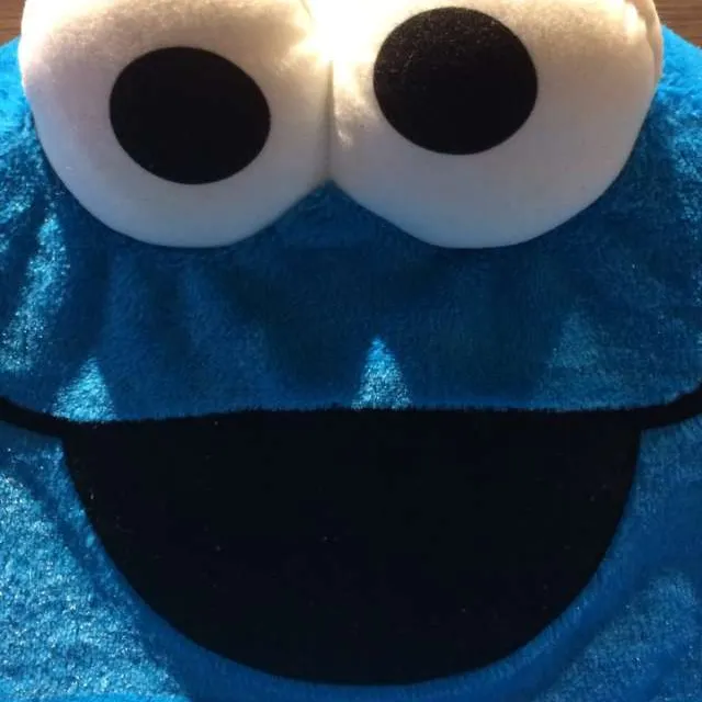 Cookie Monster Chair photo 1