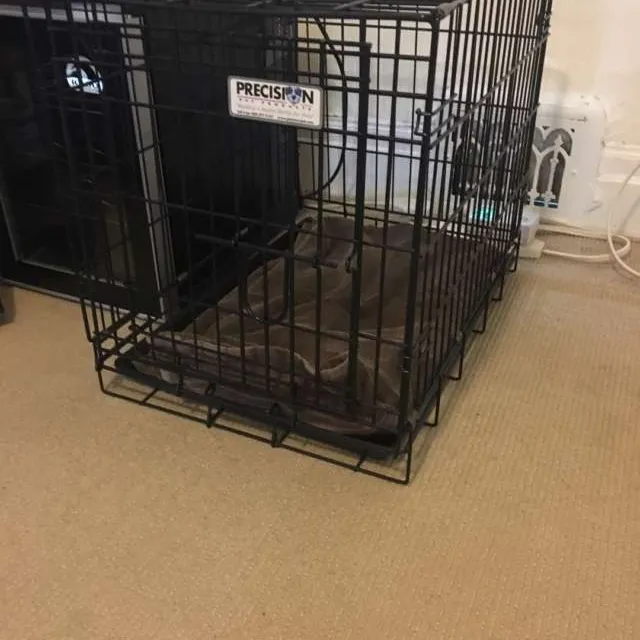 Small Dog Crate photo 1