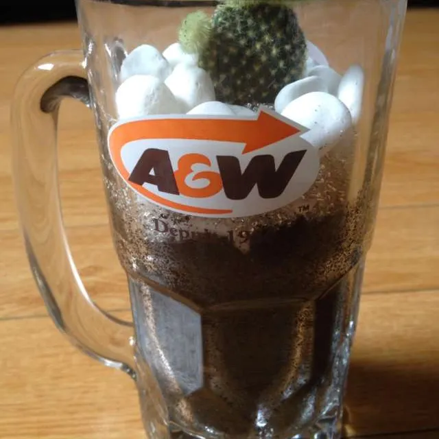 Cactus In A&W Mug. photo 1