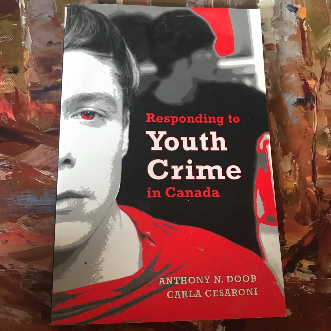 Responding To Youth Crime In Canada photo 1