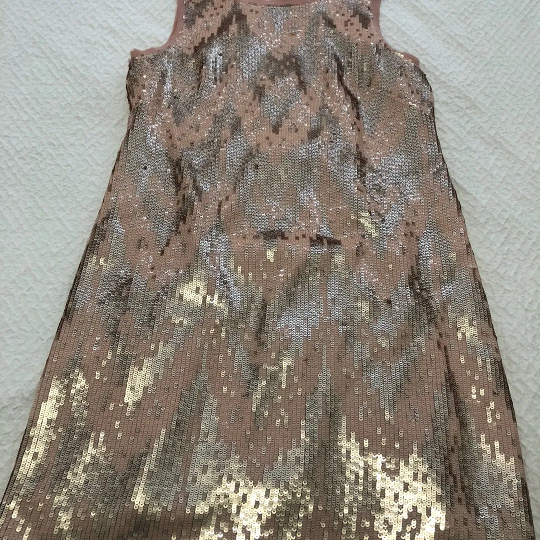 Sequinned Dress - Pink/rose Gold photo 1