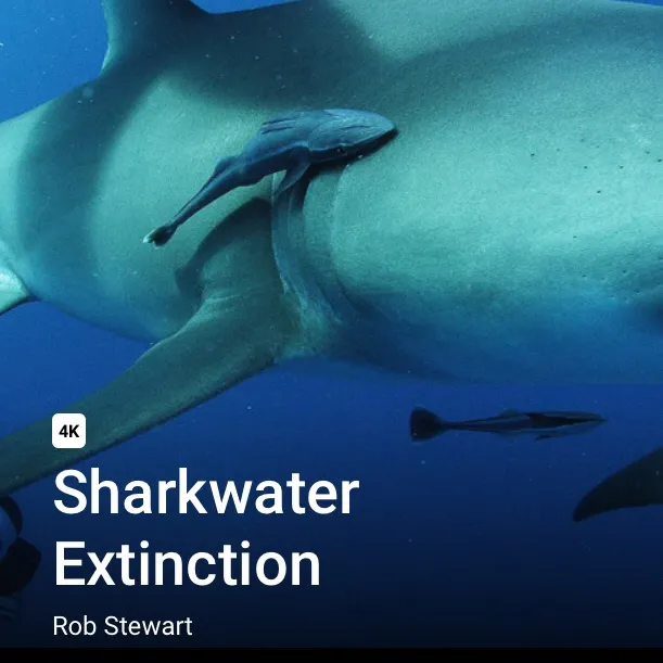 2 Extra TIFF Tickets For The Sequel Of Sharkwater. Exclusive ... photo 1