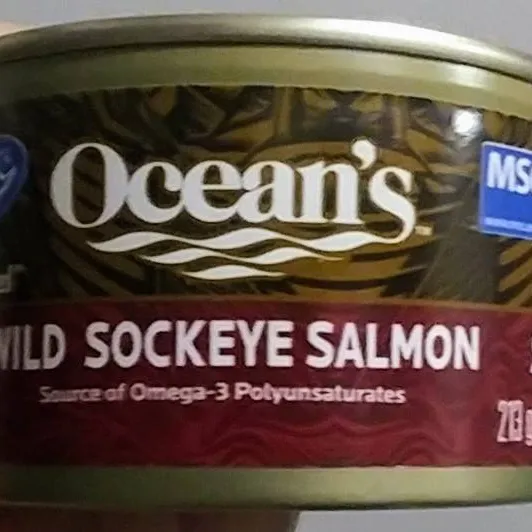 Wild salmon photo 1