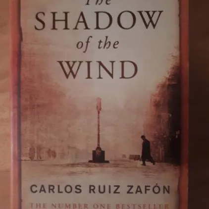 The Shadow Of The Wind Book photo 1