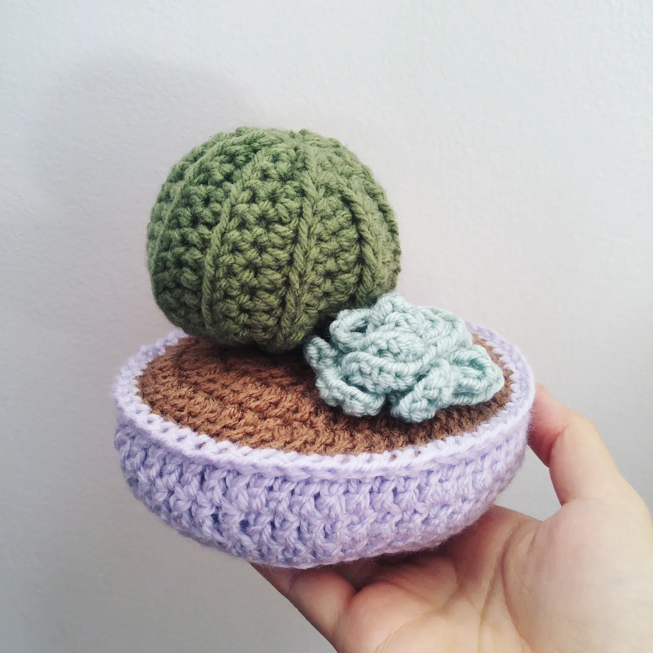 Crochet Succulent Arrangements photo 1