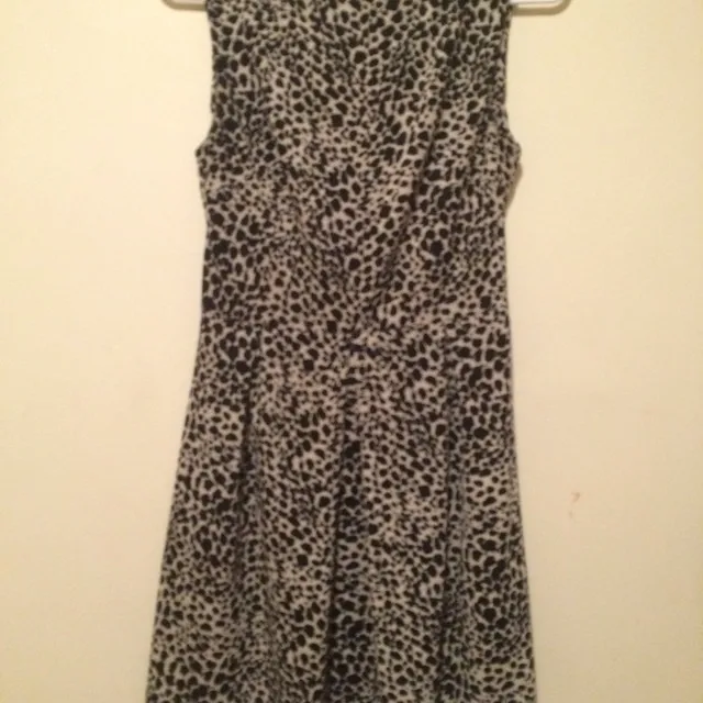 Cheetah Dress photo 1