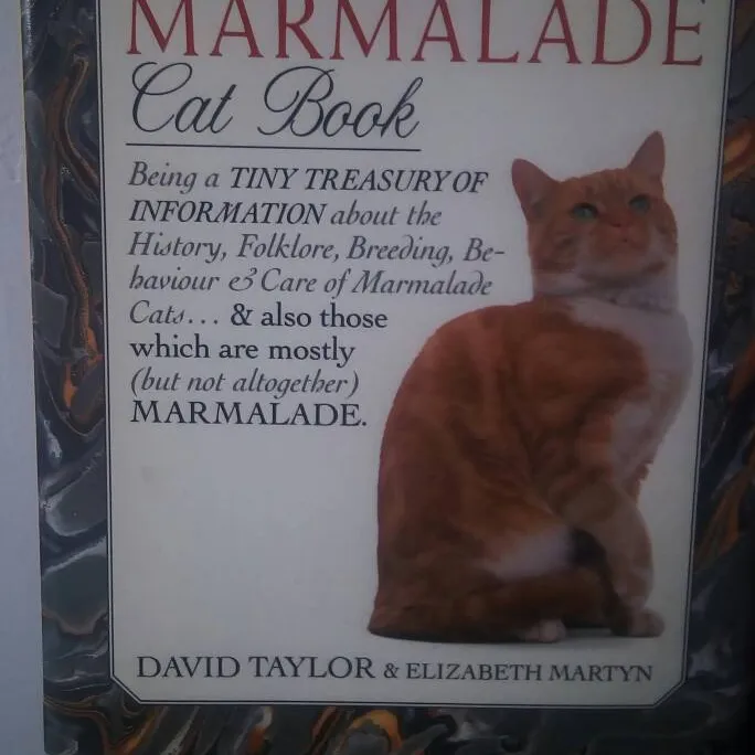Small Cat Book photo 1