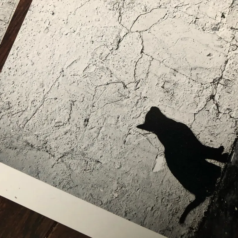 🎁“Cat In Paris” - Photo Print Set 4x6 photo 5