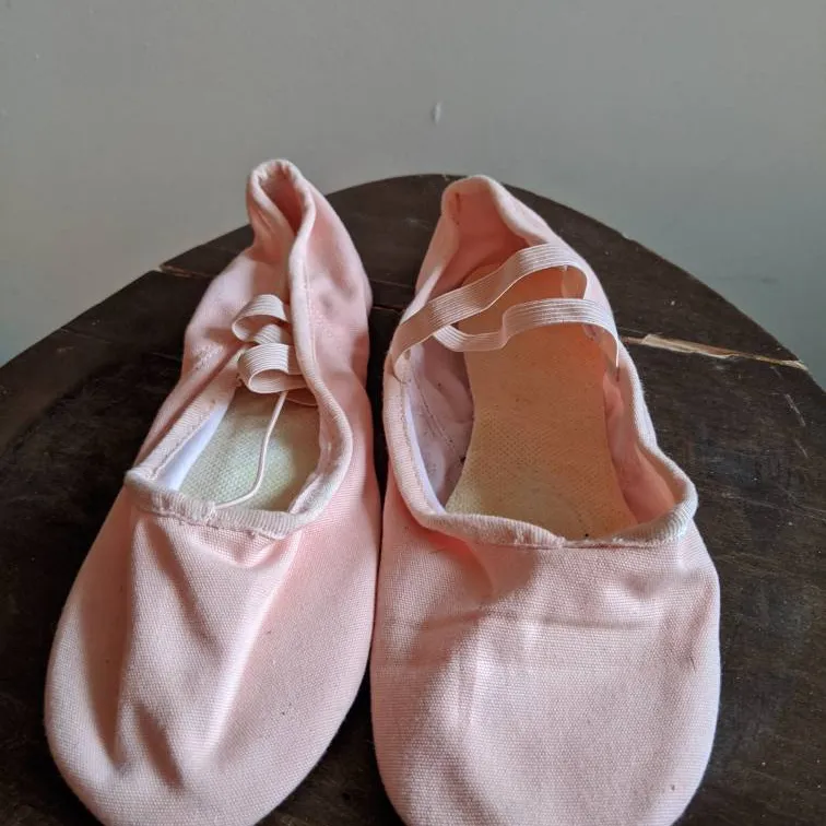 Ballet Slippers photo 1