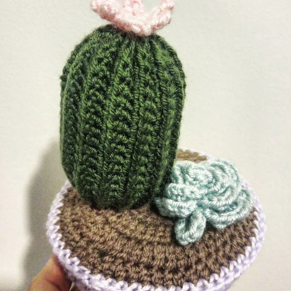Crochet Succulent Arrangements photo 5