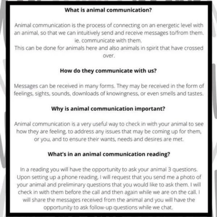 Animal Communication Reading 🐈🐩🐇🦔🦜 photo 6
