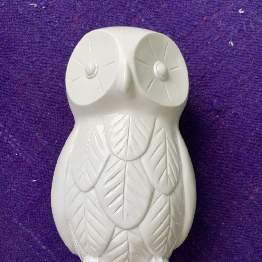 Home Decor - White Owl photo 1