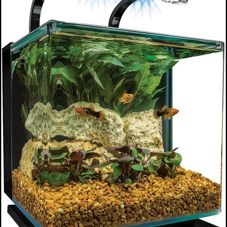 Fish Tank photo 1