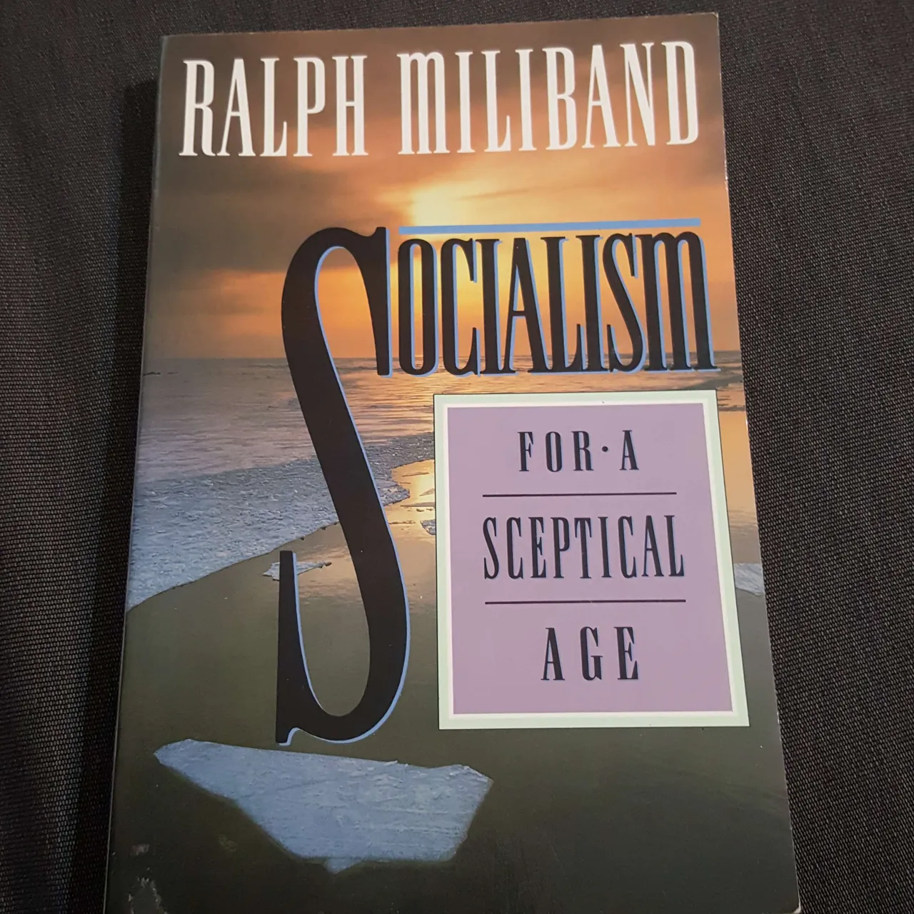 Socialism for a Sceptical Age by Ralph Miliband photo 1