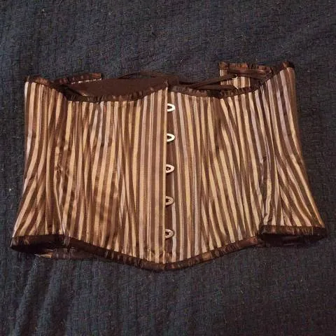 Striped Corset Waist Cinch (size 26) photo 1