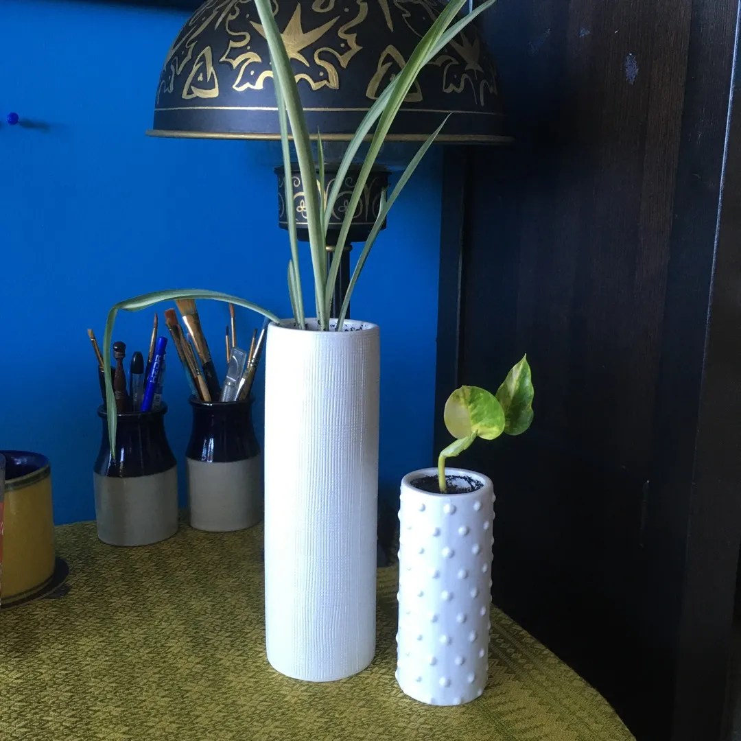 Spider Plant And Pothos Cuttings photo 1