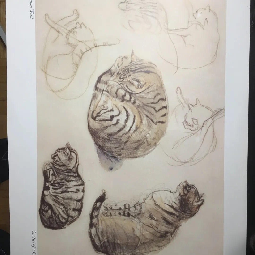 Cat Drawing Print photo 1