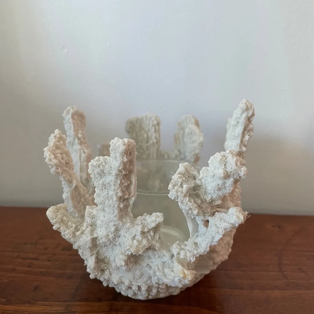 Coral Candle Holder photo 1