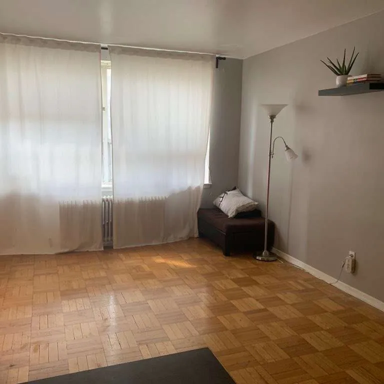 Roommate Wanted for Yonge and Eglinton Area  (Yonge and Broad... photo 4