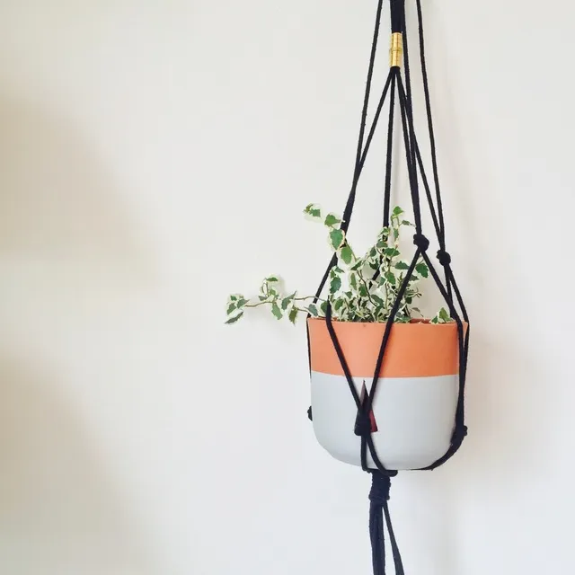 Simple Plant Hanger photo 3