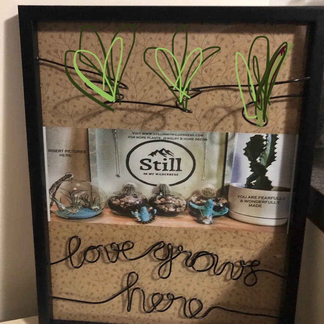 Cute Picture Frame! Can Hold Air Plants photo 1